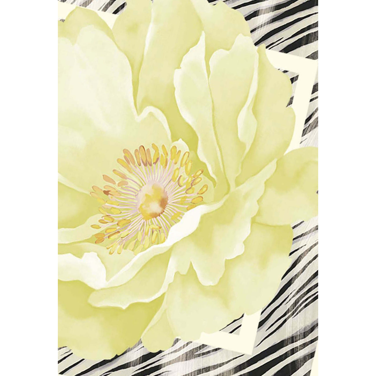 2450607 Liu Jo Sciarpa Grigio Stampa Donna