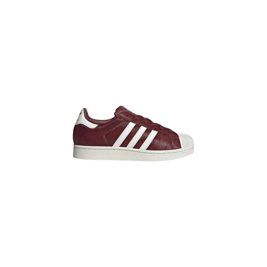 Superstar Burgundy White Sneakers Donna