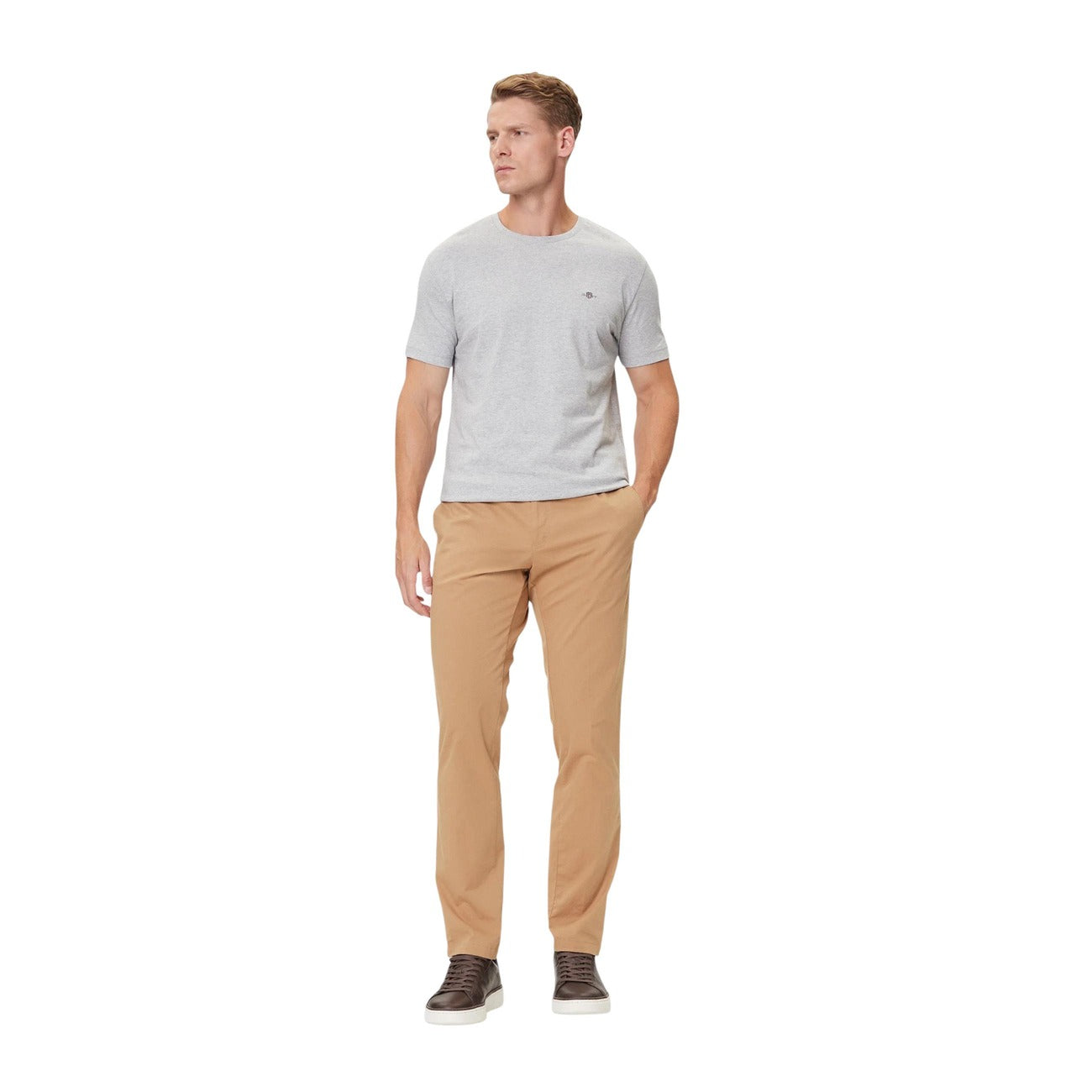 2459845 Gant T-Shirt Grigio Uomo