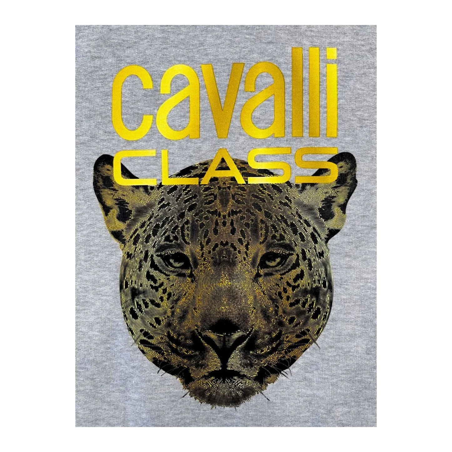 T-shirt grigia con scritta dorata Cavalli Class e testa di leopardo stilizzata