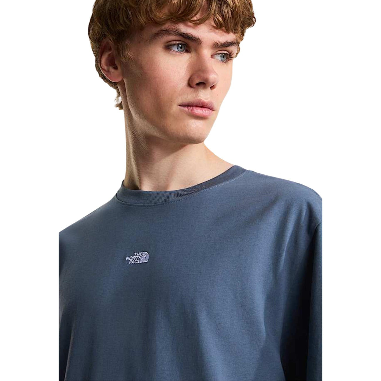 2460937 The North Face T-Shirt Grigio Uomo