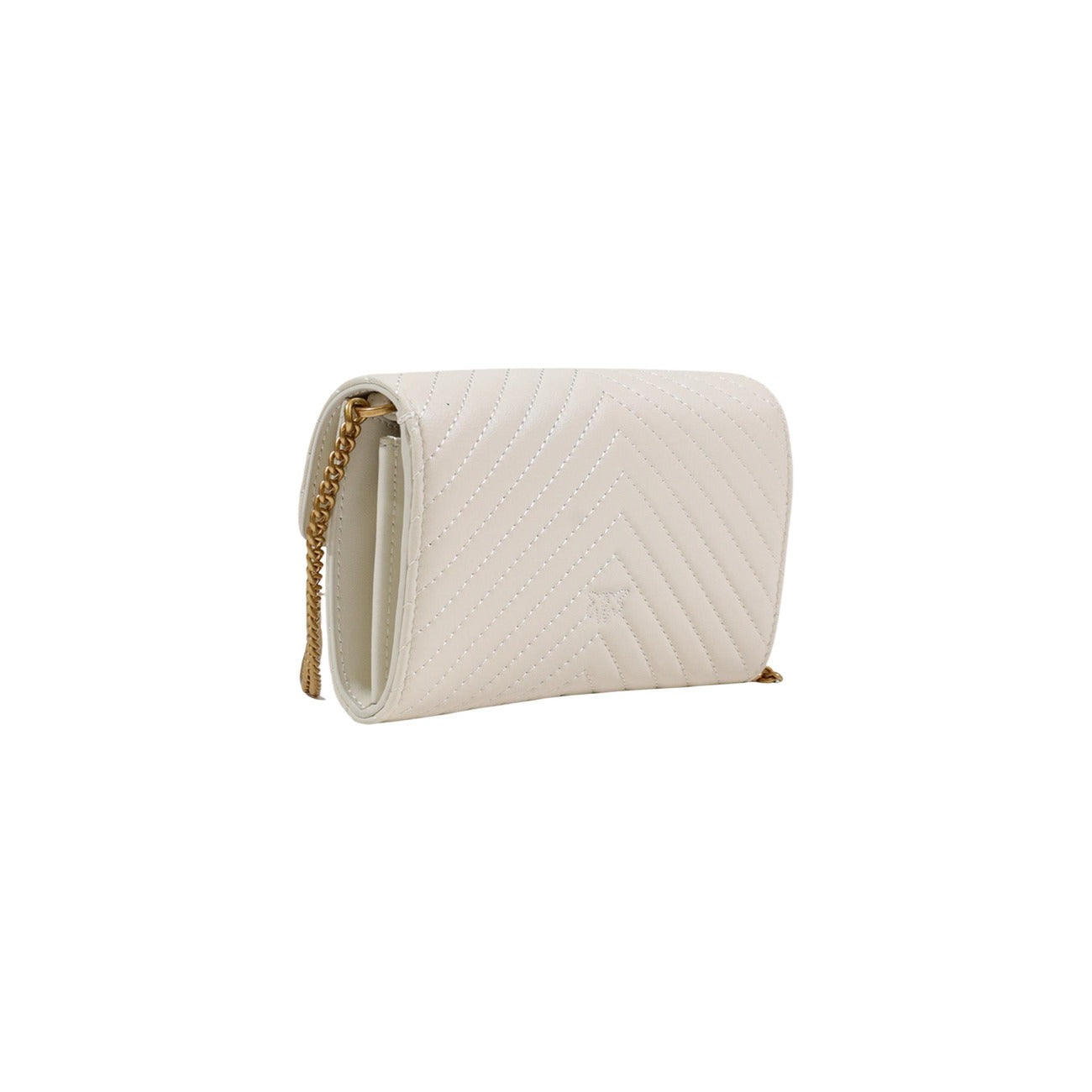 2453313 Pinko Borsa Donna