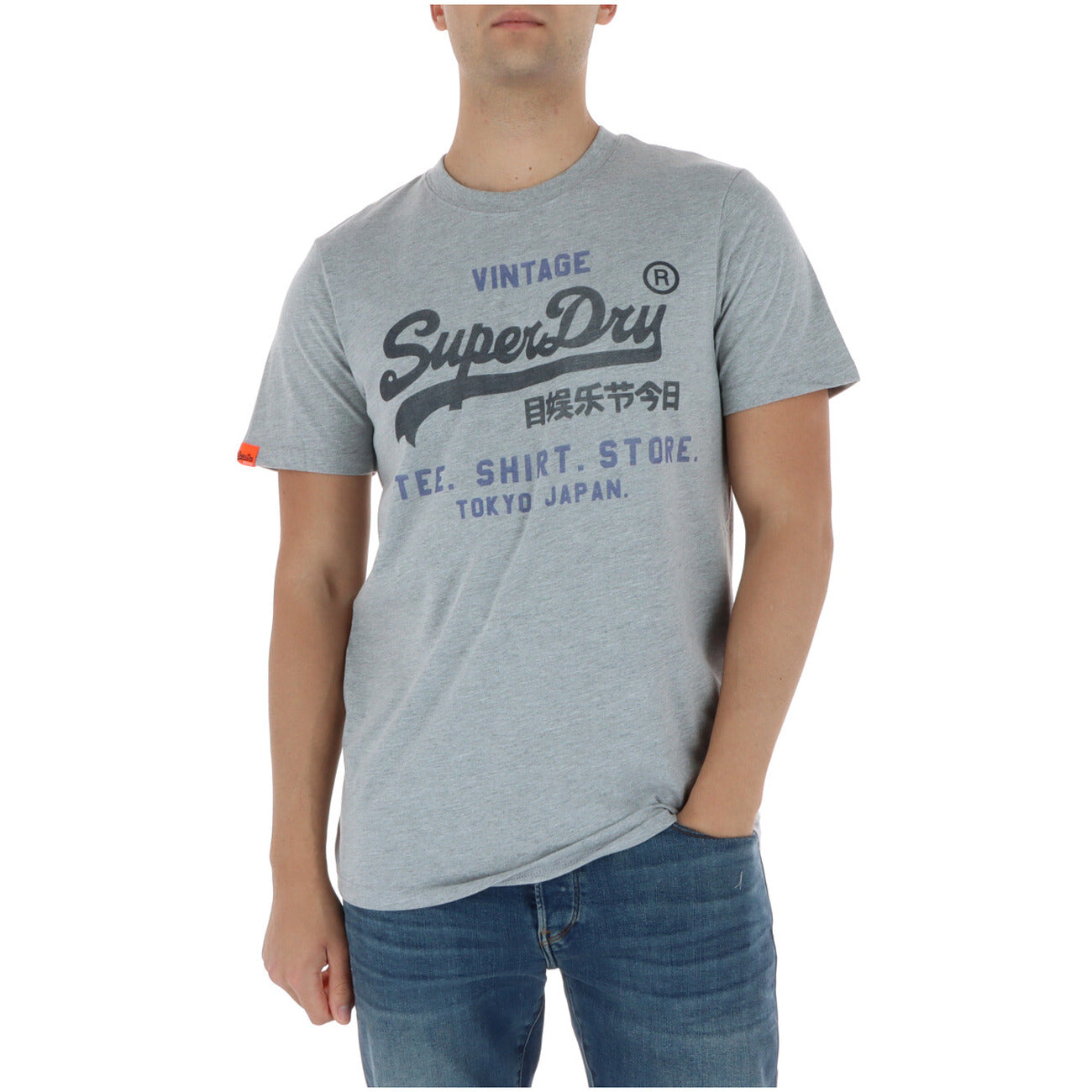 2456719 Superdry T-Shirt Grigio Stampa Uomo