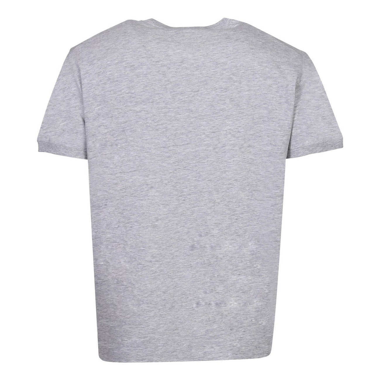 2424706 Dsquared T-Shirt Grigia Stampa Uomo
