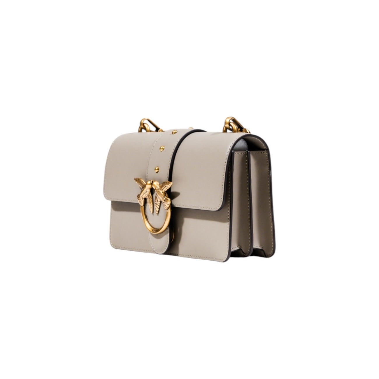 2432453 Pinko Borsa Beige Donna