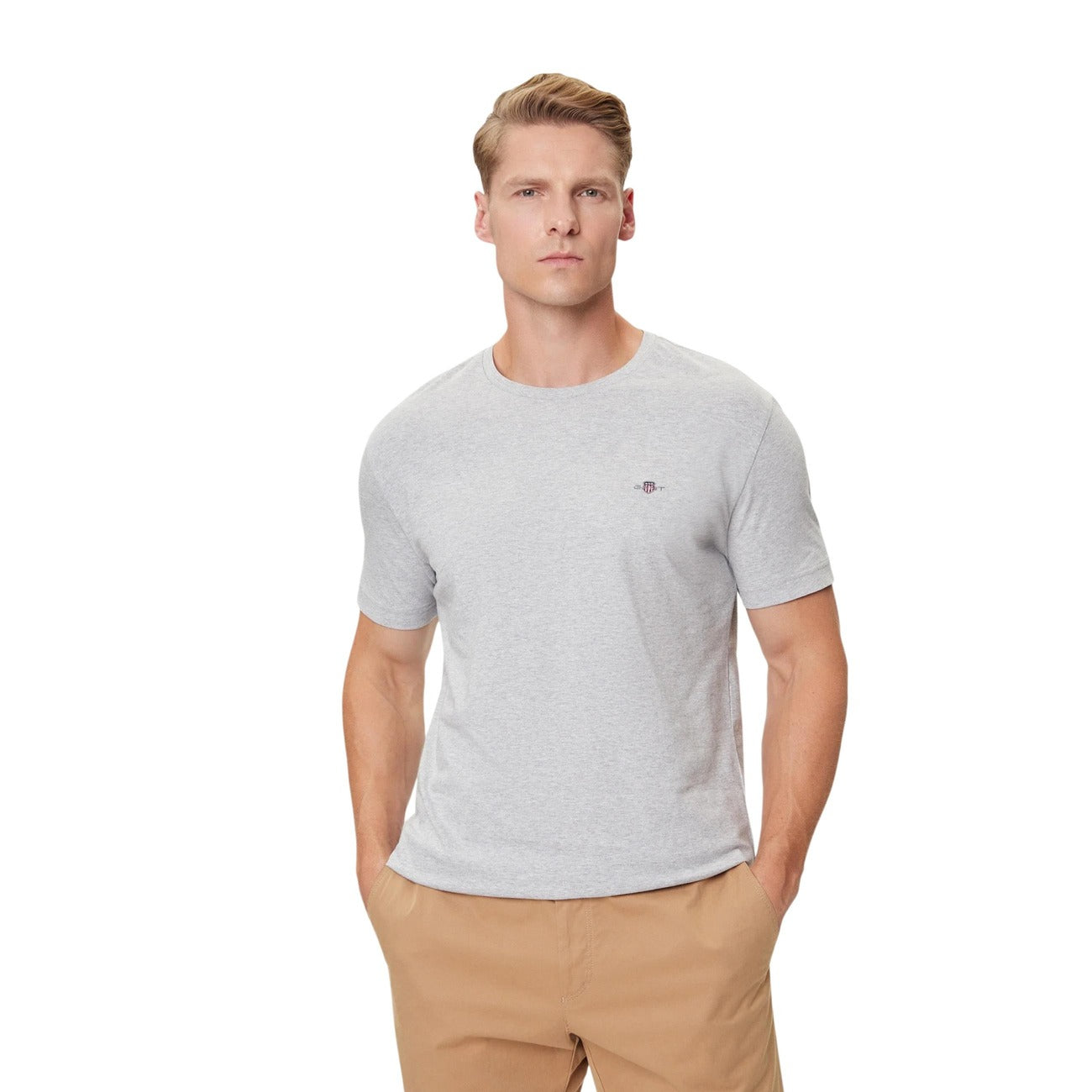 2459845 Gant T-Shirt Grigio Uomo