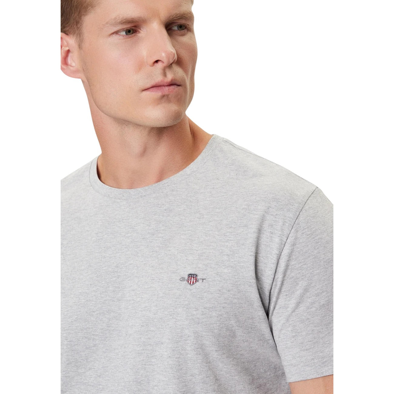 2459845 Gant T-Shirt Grigio Uomo