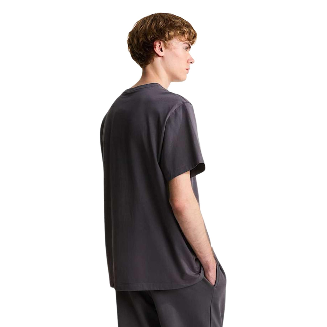 2460943 The North Face T-Shirt Grigio Uomo