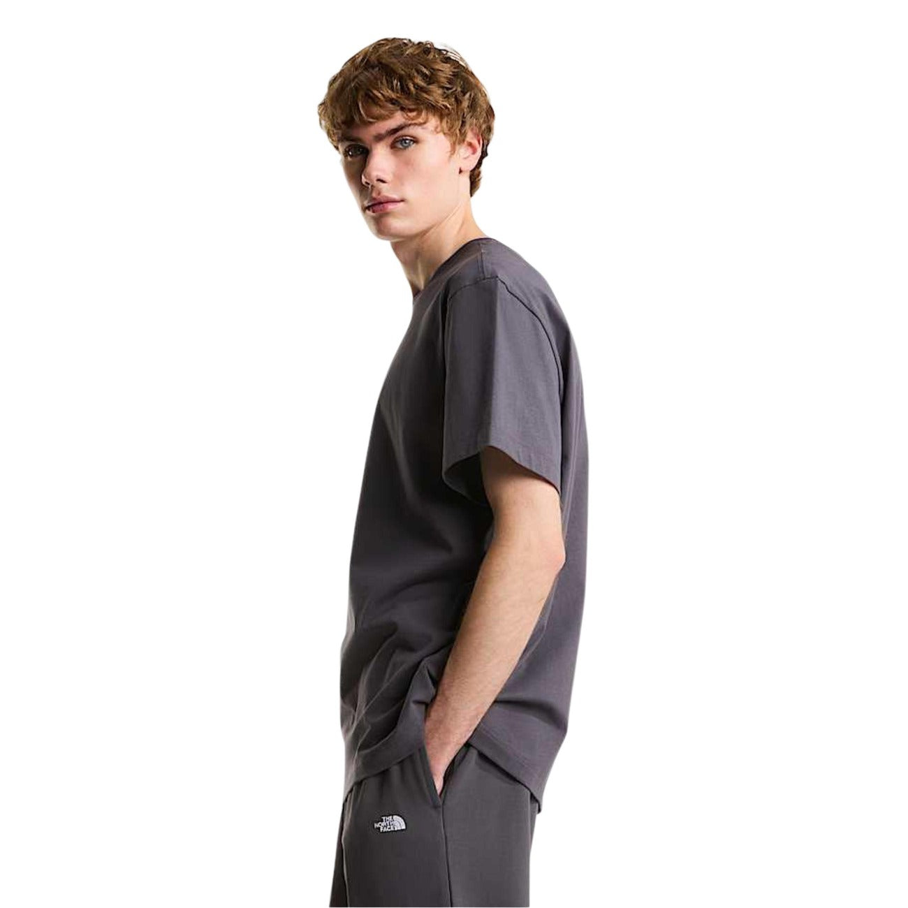 2460943 The North Face T-Shirt Grigio Uomo