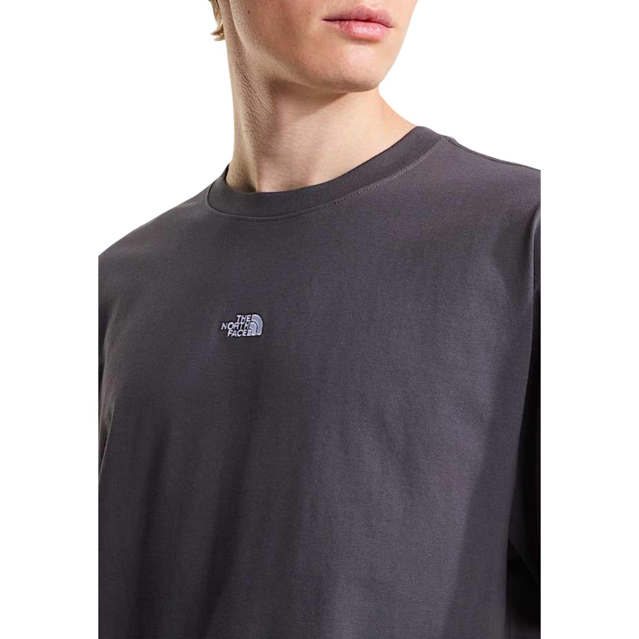2460943 The North Face T-Shirt Grigio Uomo